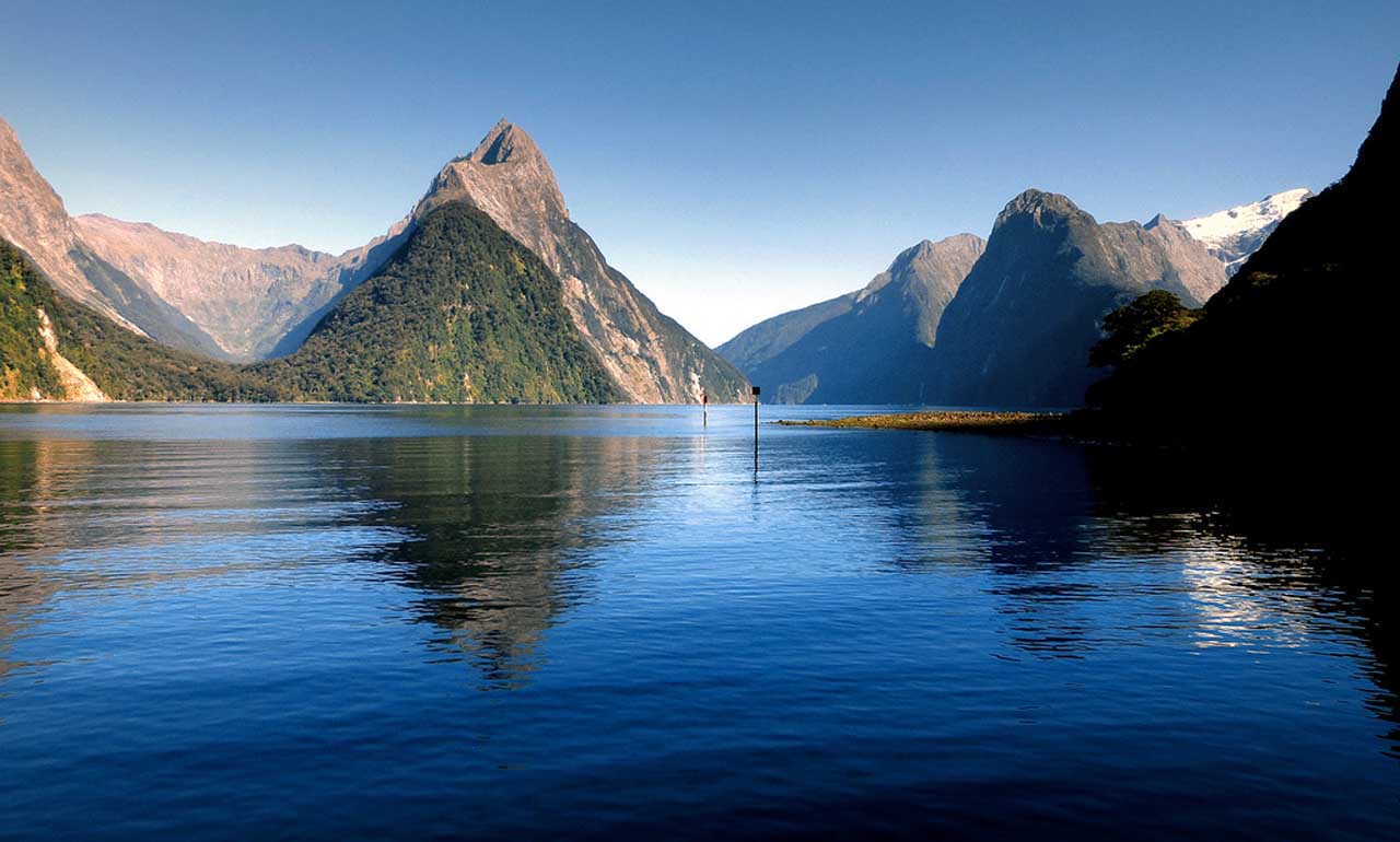 Experience New Zealand With Chef tour visual