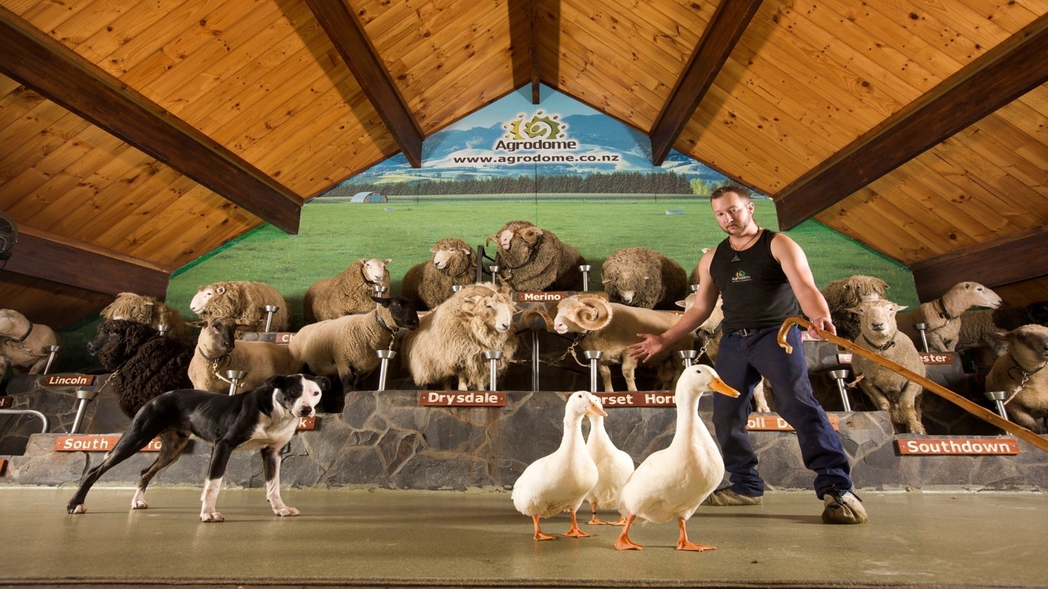 Naturally New Zealand Discovery Tour tour visual