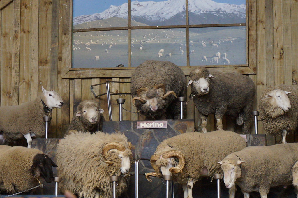 Experience New Zealand with Australia tour visual