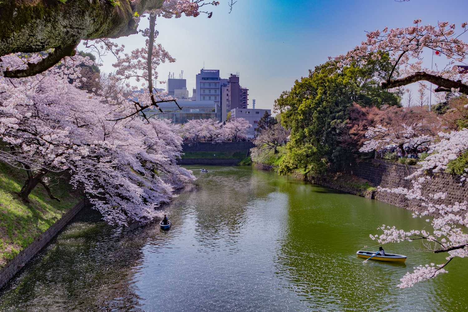 Epic Japan With Cherry Blossom - Chef Assisted Tour tour visual