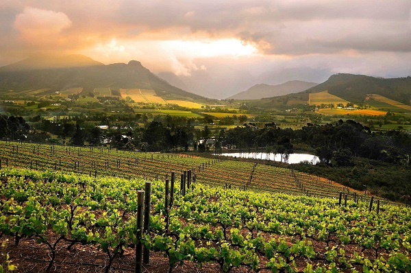 Honeymoon In Luxurious South Africa Self Drive Tour tour visual