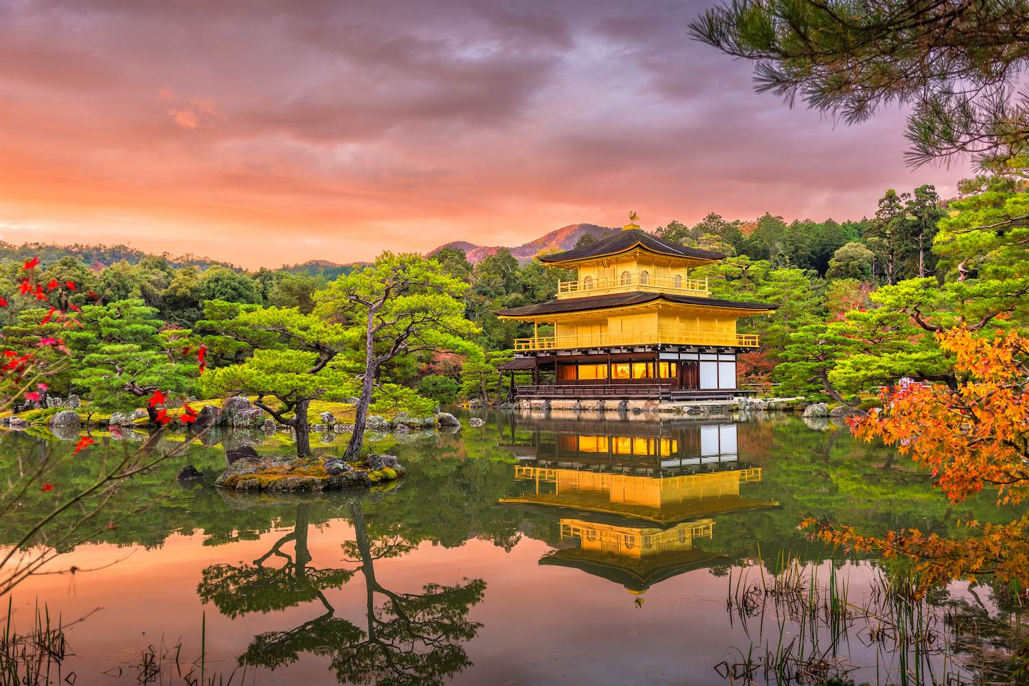 Exotic Japan And Korea With Cherry Blossom - Chef Assisted Tour tour visual