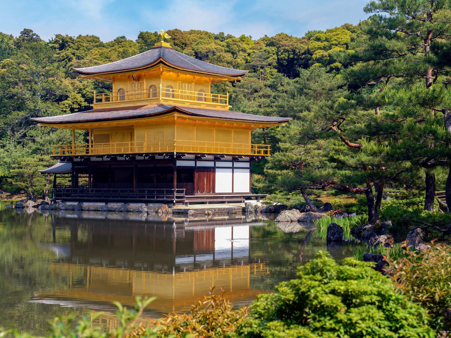 Discovery Japan With Cherry Blossom tour visual
