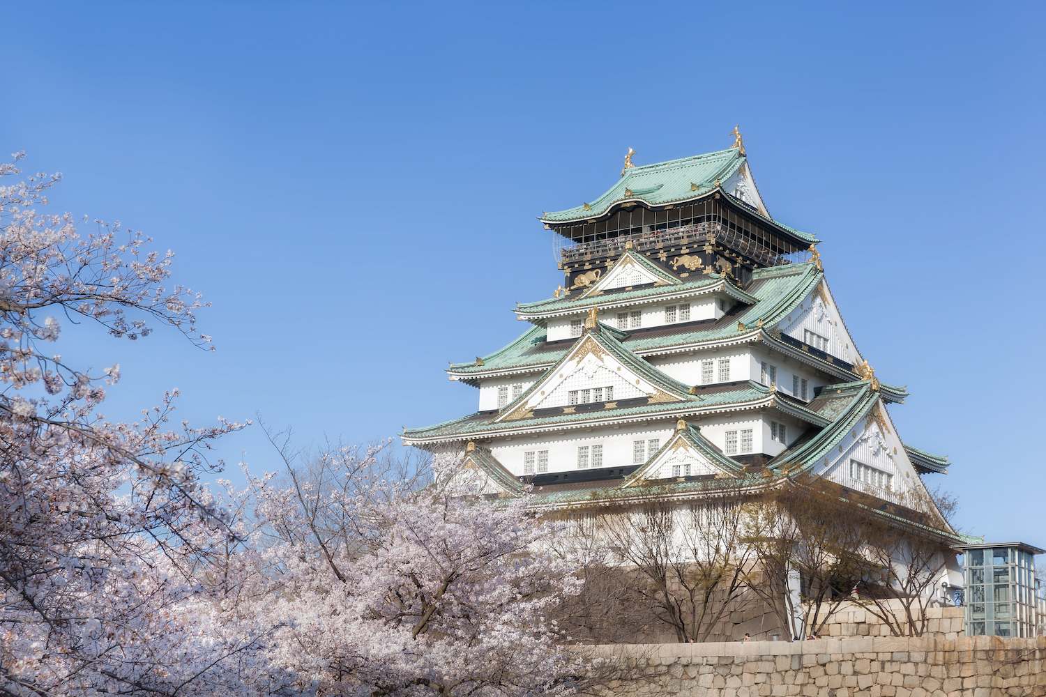 Epic Japan With Cherry Blossom – Chef Assisted Tour (Osaka Onwards) tour visual