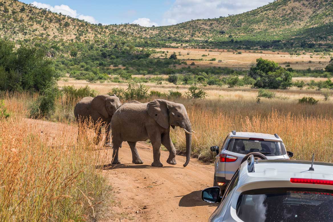 Enthralling South Africa Self Drive Tour tour visual