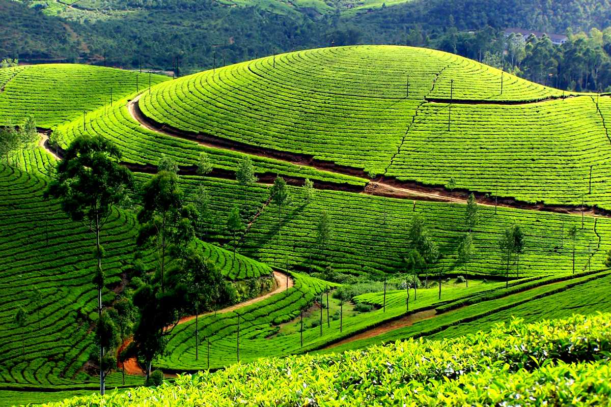 Kerala Bliss tour visual
