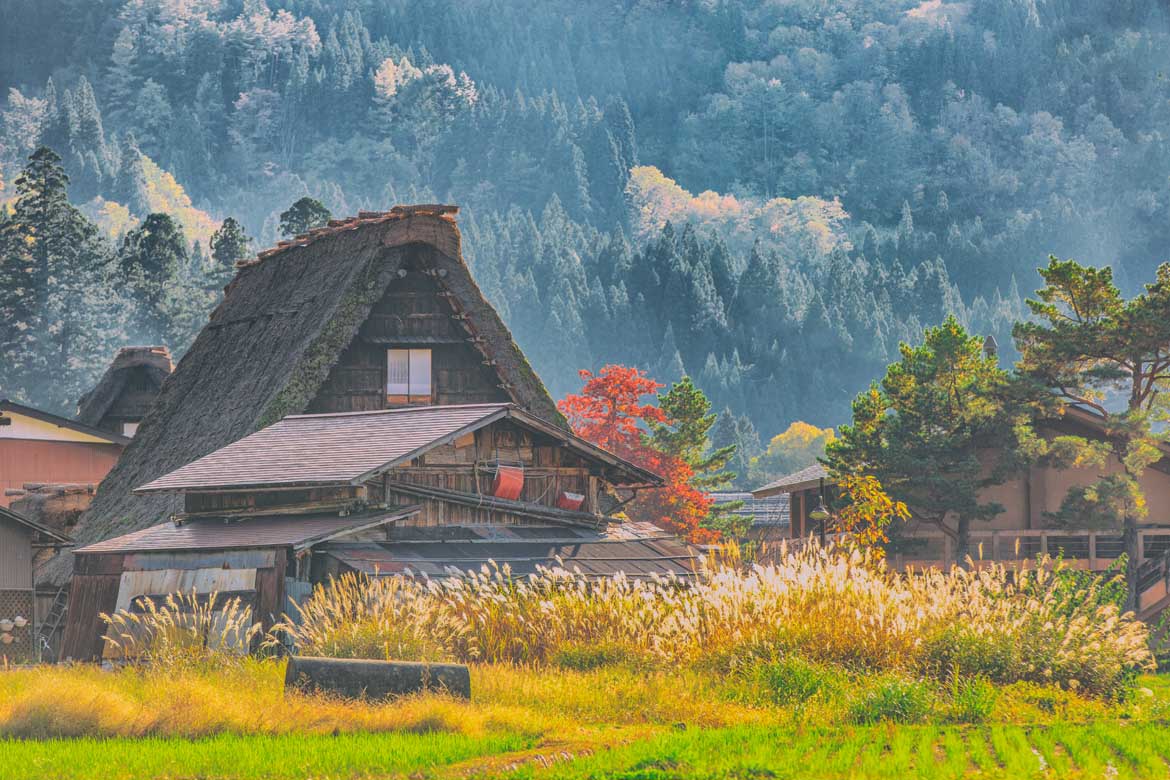 Experience Japan Alpine Route – Chef Assisted Tour tour visual