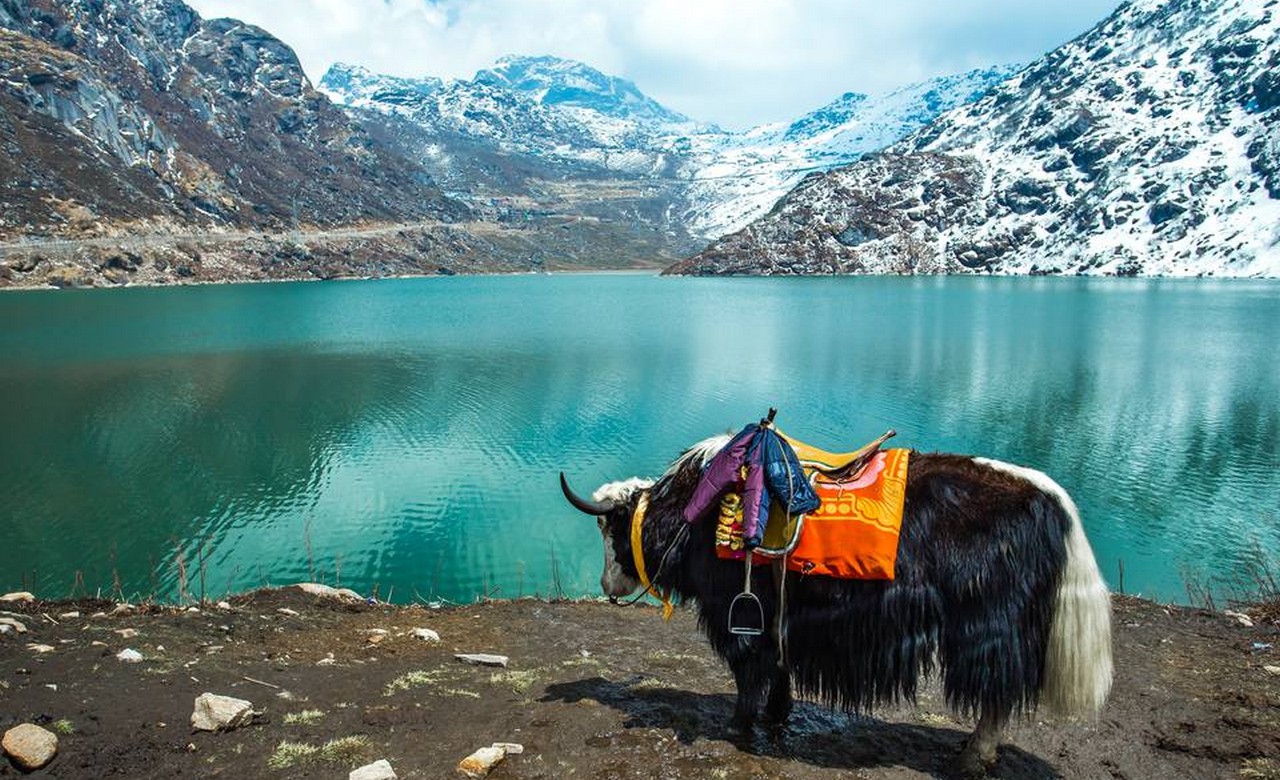 Image for Seasons of Sikkim — A Complete Travel Guide Through Himalayan Weather, Landscapes, and Local Life